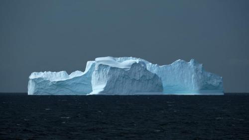 antarctica_DSCF5888 1