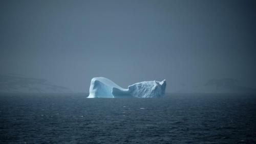 antarctica_DSCF5890 1