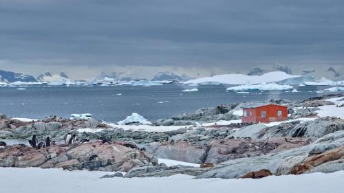 antarctica_DSCF7983-2-scaled