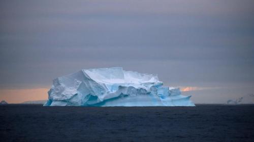 antarctica_DSCF8146-1-topaz-denoise-sharpen-scaled