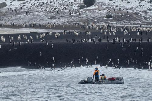 antarctica_DSCF8380-topaz-sharpen